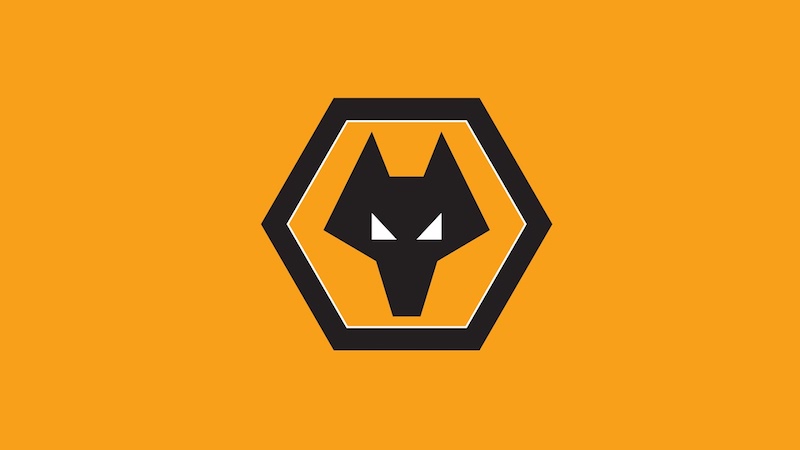 Sơ lược về fanclub Wolves FC VN